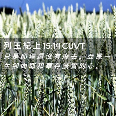 Picture 02 - 列 王 紀 上 15:14 CUVT - 只 是 邱 壇 還 沒 有 廢 去 。 亞 撒 - Bible Verse Picture