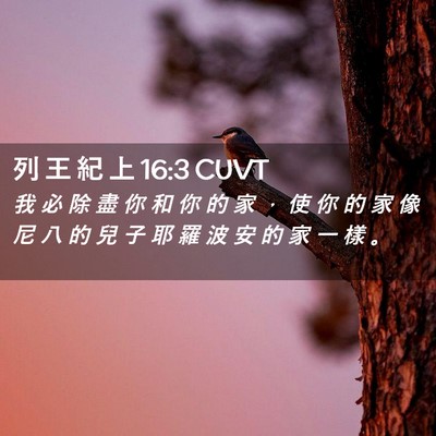 Picture 02 - 列 王 紀 上 16:3 CUVT - 我 必 除 盡 你 和 你 的 家 ， 使 你 - Bible Verse Picture