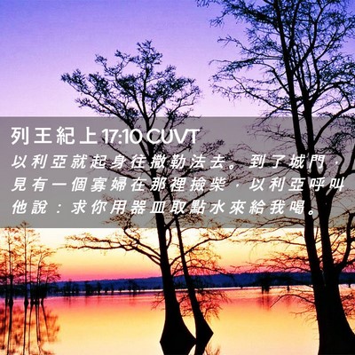Picture 02 - 列 王 紀 上 17:10 CUVT - 以 利 亞 就 起 身 往 撒 勒 法 去 。 - Bible Verse Picture