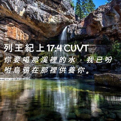 Picture 02 - 列 王 紀 上 17:4 CUVT - 你 要 喝 那 溪 裡 的 水 ， 我 已 吩 - Bible Verse Picture