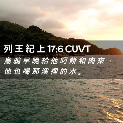 Picture 02 - 列 王 紀 上 17:6 CUVT - 烏 鴉 早 晚 給 他 叼 餅 和 肉 來 ， - Bible Verse Picture
