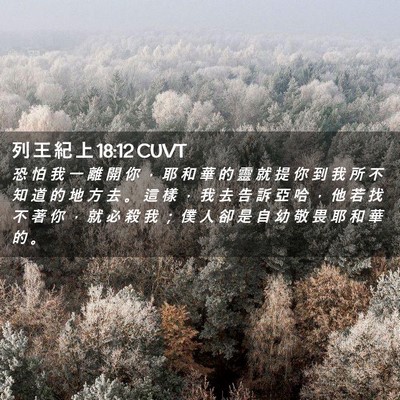 Picture 02 - 列 王 紀 上 18:12 CUVT - 恐 怕 我 一 離 開 你 ， 耶 和 華 的 - Bible Verse Picture