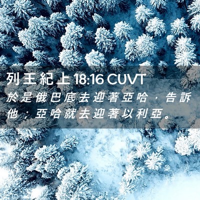 Picture 02 - 列 王 紀 上 18:16 CUVT - 於 是 俄 巴 底 去 迎 著 亞 哈 ， 告 - Bible Verse Picture