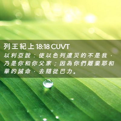 Picture 02 - 列 王 紀 上 18:18 CUVT - 以 利 亞 說 ： 使 以 色 列 遭 災 的 - Bible Verse Picture