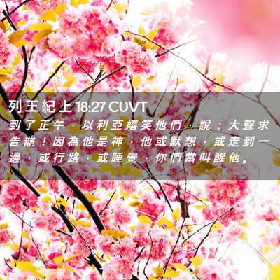 Picture 02 - 列 王 紀 上 18:27 CUVT - 到 了 正 午 ， 以 利 亞 嬉 笑 他 們 - Bible Verse Picture