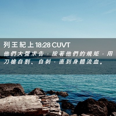 Picture 02 - 列 王 紀 上 18:28 CUVT - 他 們 大 聲 求 告 ， 按 著 他 們 的 - Bible Verse Picture