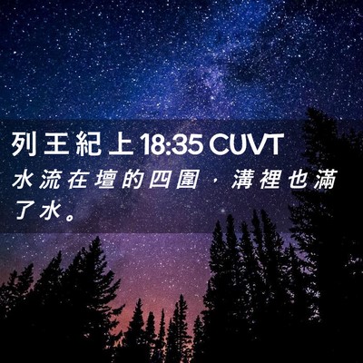 Picture 02 - 列 王 紀 上 18:35 CUVT - 水 流 在 壇 的 四 圍 ， 溝 裡 也 滿 - Bible Verse Picture