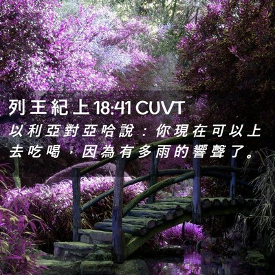 Picture 02 - 列 王 紀 上 18:41 CUVT - 以 利 亞 對 亞 哈 說 ： 你 現 在 可 - Bible Verse Picture