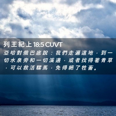 Picture 02 - 列 王 紀 上 18:5 CUVT - 亞 哈 對 俄 巴 底 說 ： 我 們 走 遍 - Bible Verse Picture