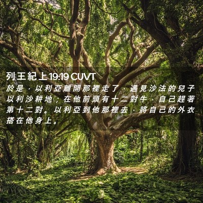 Picture 02 - 列 王 紀 上 19:19 CUVT - 於 是 ， 以 利 亞 離 開 那 裡 走 了 - Bible Verse Picture