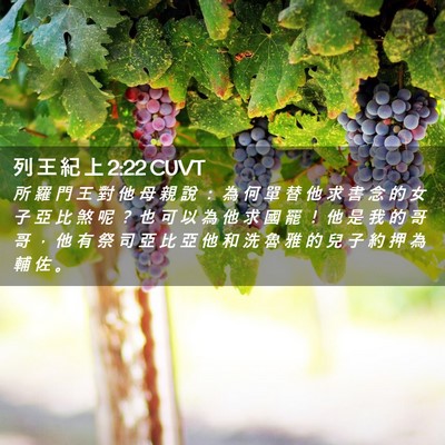 Picture 02 - 列 王 紀 上 2:22 CUVT - 所 羅 門 王 對 他 母 親 說 ： 為 何 - Bible Verse Picture