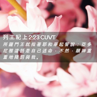 Picture 02 - 列 王 紀 上 2:23 CUVT - 所 羅 門 王 就 指 著 耶 和 華 起 誓 - Bible Verse Picture