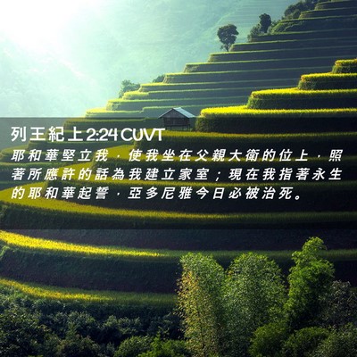 Picture 02 - 列 王 紀 上 2:24 CUVT - 耶 和 華 堅 立 我 ， 使 我 坐 在 父 - Bible Verse Picture