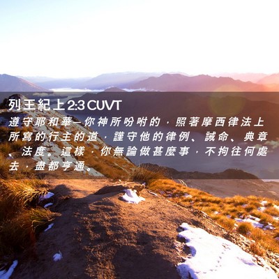 Picture 02 - 列 王 紀 上 2:3 CUVT - 遵 守 耶 和 華 ─ 你 神 所 吩 咐 的 - Bible Verse Picture