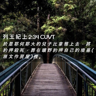Picture 02 - 列 王 紀 上 2:34 CUVT - 於 是 耶 何 耶 大 的 兒 子 比 拿 雅 - Bible Verse Picture
