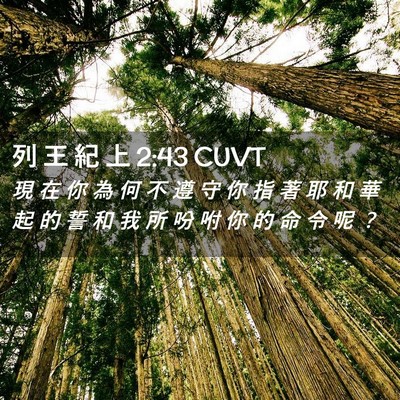 Picture 02 - 列 王 紀 上 2:43 CUVT - 現 在 你 為 何 不 遵 守 你 指 著 耶 - Bible Verse Picture