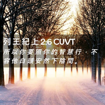 Picture 02 - 列 王 紀 上 2:6 CUVT - 所 以 你 要 照 你 的 智 慧 行 ， 不 - Bible Verse Picture