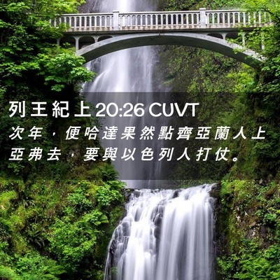 Picture 02 - 列 王 紀 上 20:26 CUVT - 次 年 ， 便 哈 達 果 然 點 齊 亞 蘭 - Bible Verse Picture