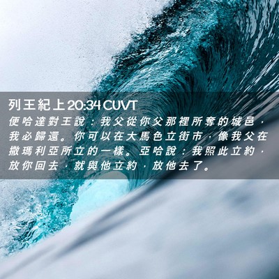 Picture 02 - 列 王 紀 上 20:34 CUVT - 便 哈 達 對 王 說 ： 我 父 從 你 父 - Bible Verse Picture