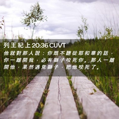 Picture 02 - 列 王 紀 上 20:36 CUVT - 他 就 對 那 人 說 ： 你 既 不 聽 從 - Bible Verse Picture