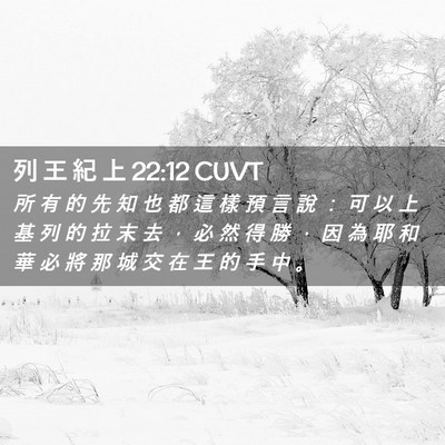 Picture 02 - 列 王 紀 上 22:12 CUVT - 所 有 的 先 知 也 都 這 樣 預 言 說 - Bible Verse Picture