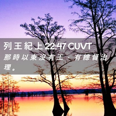 Picture 02 - 列 王 紀 上 22:47 CUVT - 那 時 以 東 沒 有 王 ， 有 總 督 治 - Bible Verse Picture