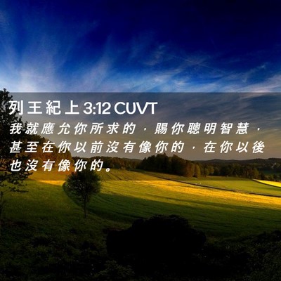 Picture 02 - 列 王 紀 上 3:12 CUVT - 我 就 應 允 你 所 求 的 ， 賜 你 聰 - Bible Verse Picture