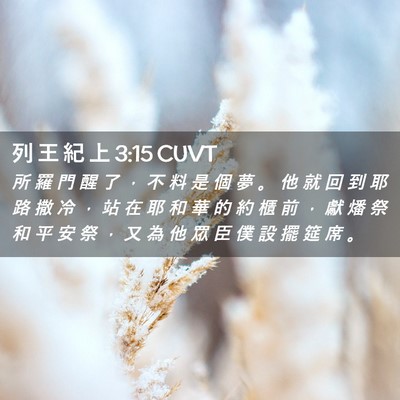 Picture 02 - 列 王 紀 上 3:15 CUVT - 所 羅 門 醒 了 ， 不 料 是 個 夢 。 - Bible Verse Picture