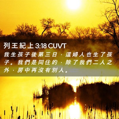 Picture 02 - 列 王 紀 上 3:18 CUVT - 我 生 孩 子 後 第 三 日 ， 這 婦 人 - Bible Verse Picture