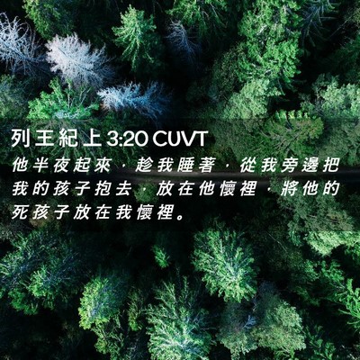 Picture 02 - 列 王 紀 上 3:20 CUVT - 他 半 夜 起 來 ， 趁 我 睡 著 ， 從 - Bible Verse Picture