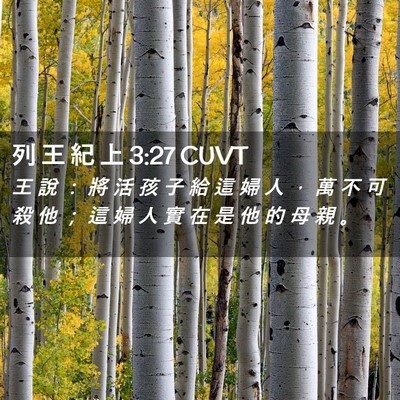 Picture 02 - 列 王 紀 上 3:27 CUVT - 王 說 ： 將 活 孩 子 給 這 婦 人 ， - Bible Verse Picture