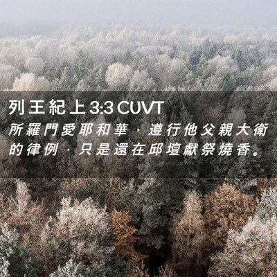 Picture 02 - 列 王 紀 上 3:3 CUVT - 所 羅 門 愛 耶 和 華 ， 遵 行 他 父 - Bible Verse Picture