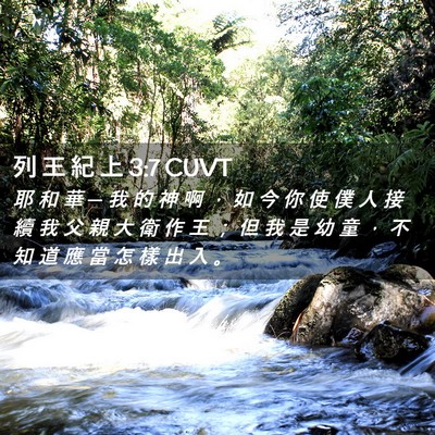 Picture 02 - 列 王 紀 上 3:7 CUVT - 耶 和 華 ─ 我 的 神 啊 ， 如 今 你 - Bible Verse Picture