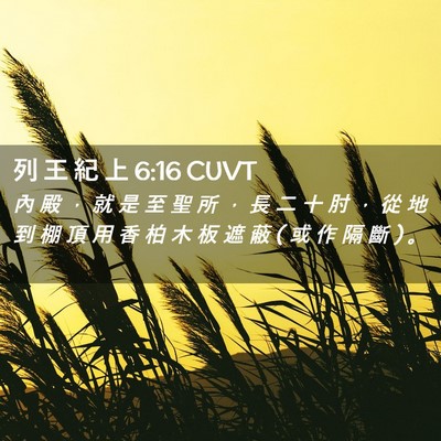 Picture 02 - 列 王 紀 上 6:16 CUVT - 內 殿 ， 就 是 至 聖 所 ， 長 二 十 - Bible Verse Picture