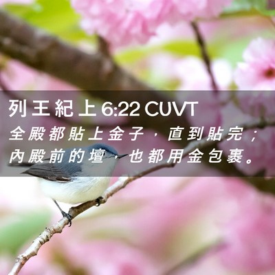 Picture 02 - 列 王 紀 上 6:22 CUVT - 全 殿 都 貼 上 金 子 ， 直 到 貼 完 - Bible Verse Picture