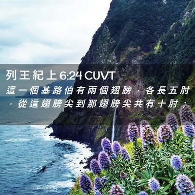 Picture 02 - 列 王 紀 上 6:24 CUVT - 這 一 個 基 路 伯 有 兩 個 翅 膀 ， - Bible Verse Picture