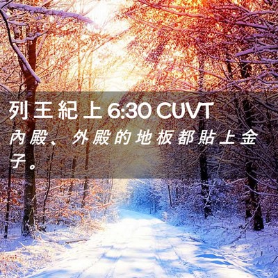 Picture 02 - 列 王 紀 上 6:30 CUVT - 內 殿 、 外 殿 的 地 板 都 貼 上 金 - Bible Verse Picture