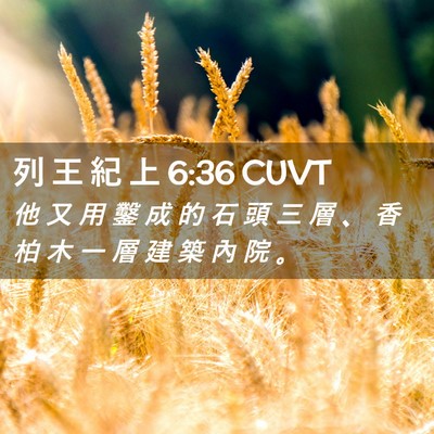 Picture 02 - 列 王 紀 上 6:36 CUVT - 他 又 用 鑿 成 的 石 頭 三 層 、 香 - Bible Verse Picture