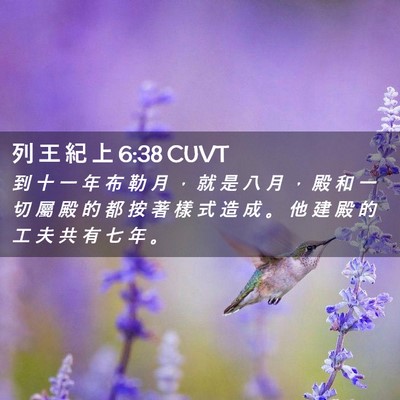 Picture 02 - 列 王 紀 上 6:38 CUVT - 到 十 一 年 布 勒 月 ， 就 是 八 月 - Bible Verse Picture
