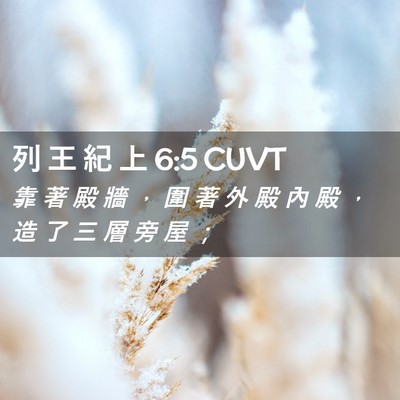 Picture 02 - 列 王 紀 上 6:5 CUVT - 靠 著 殿 牆 ， 圍 著 外 殿 內 殿 ， - Bible Verse Picture