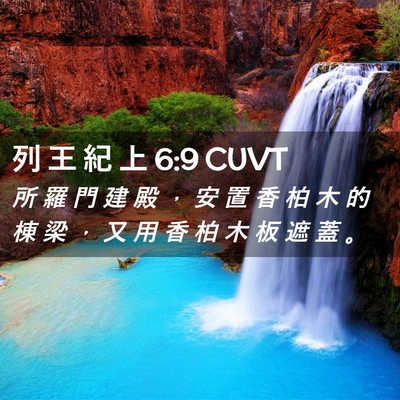 Picture 02 - 列 王 紀 上 6:9 CUVT - 所 羅 門 建 殿 ， 安 置 香 柏 木 的 - Bible Verse Picture