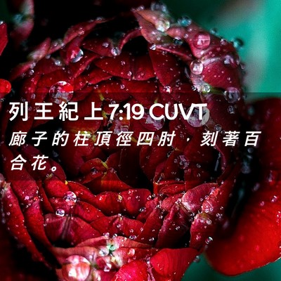 Picture 02 - 列 王 紀 上 7:19 CUVT - 廊 子 的 柱 頂 徑 四 肘 ， 刻 著 百 - Bible Verse Picture