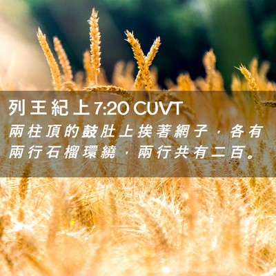 Picture 02 - 列 王 紀 上 7:20 CUVT - 兩 柱 頂 的 鼓 肚 上 挨 著 網 子 ， - Bible Verse Picture