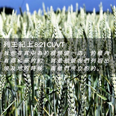 Picture 02 - 列 王 紀 上 8:21 CUVT - 我 也 在 其 中 為 約 櫃 預 備 一 處 - Bible Verse Picture