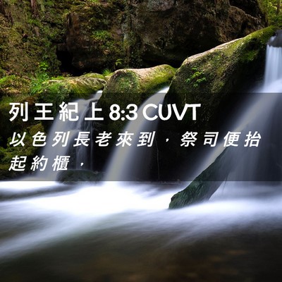 Picture 02 - 列 王 紀 上 8:3 CUVT - 以 色 列 長 老 來 到 ， 祭 司 便 抬 - Bible Verse Picture