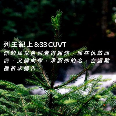 Picture 02 - 列 王 紀 上 8:33 CUVT - 你 的 民 以 色 列 若 得 罪 你 ， 敗 - Bible Verse Picture