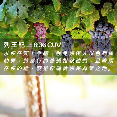 Picture 02 - 列 王 紀 上 8:36 CUVT - 求 你 在 天 上 垂 聽 ， 赦 免 你 僕 - Bible Verse Picture