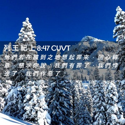 Picture 02 - 列 王 紀 上 8:47 CUVT - 他 們 若 在 擄 到 之 地 想 起 罪 來 - Bible Verse Picture