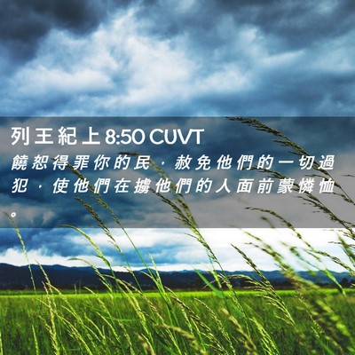 Picture 02 - 列 王 紀 上 8:50 CUVT - 饒 恕 得 罪 你 的 民 ， 赦 免 他 們 - Bible Verse Picture