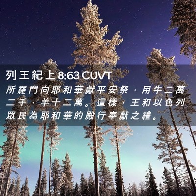 Picture 02 - 列 王 紀 上 8:63 CUVT - 所 羅 門 向 耶 和 華 獻 平 安 祭 ， - Bible Verse Picture